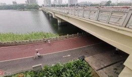 南湖大桥最新爆料,最新工程进展与未来展望