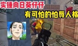 爆料假吃主播是谁啊视频,揭秘“爆料假吃主播”的真实身份